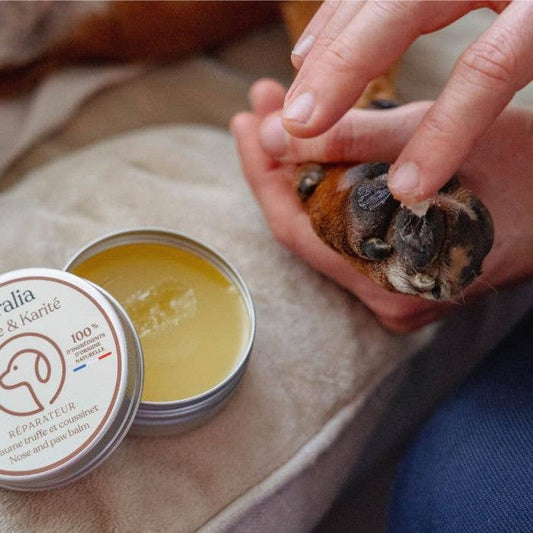 Baume truffe & coussinets – Protection & confort naturel