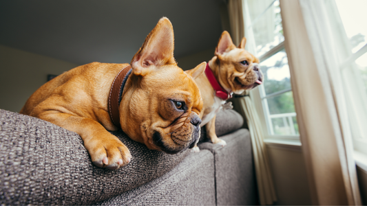 Il ne te demande rien. Il te donne tout.