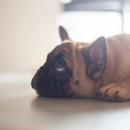 Comment éviter les irritations de la peau de votre boubou