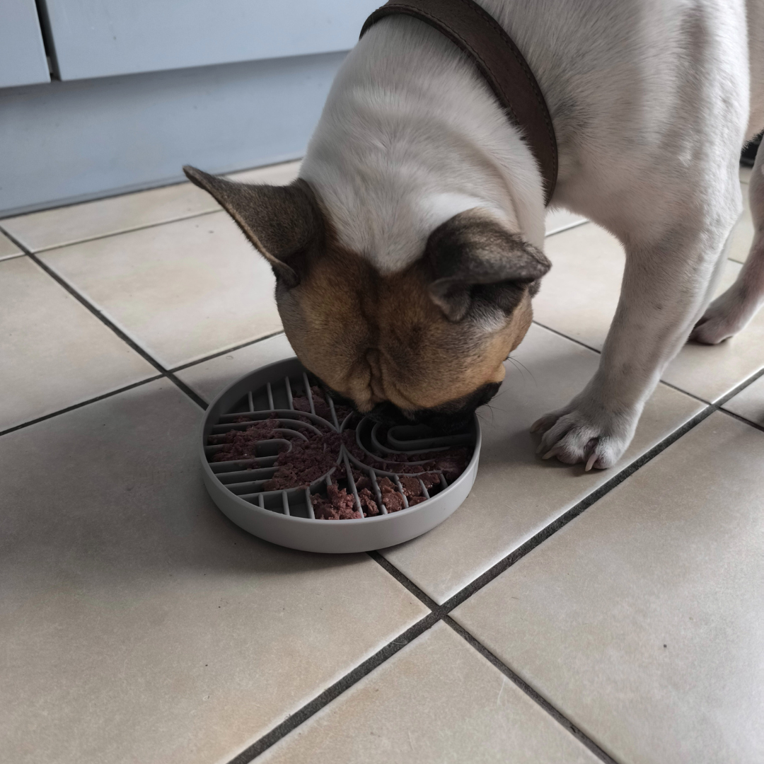 Repas Zen