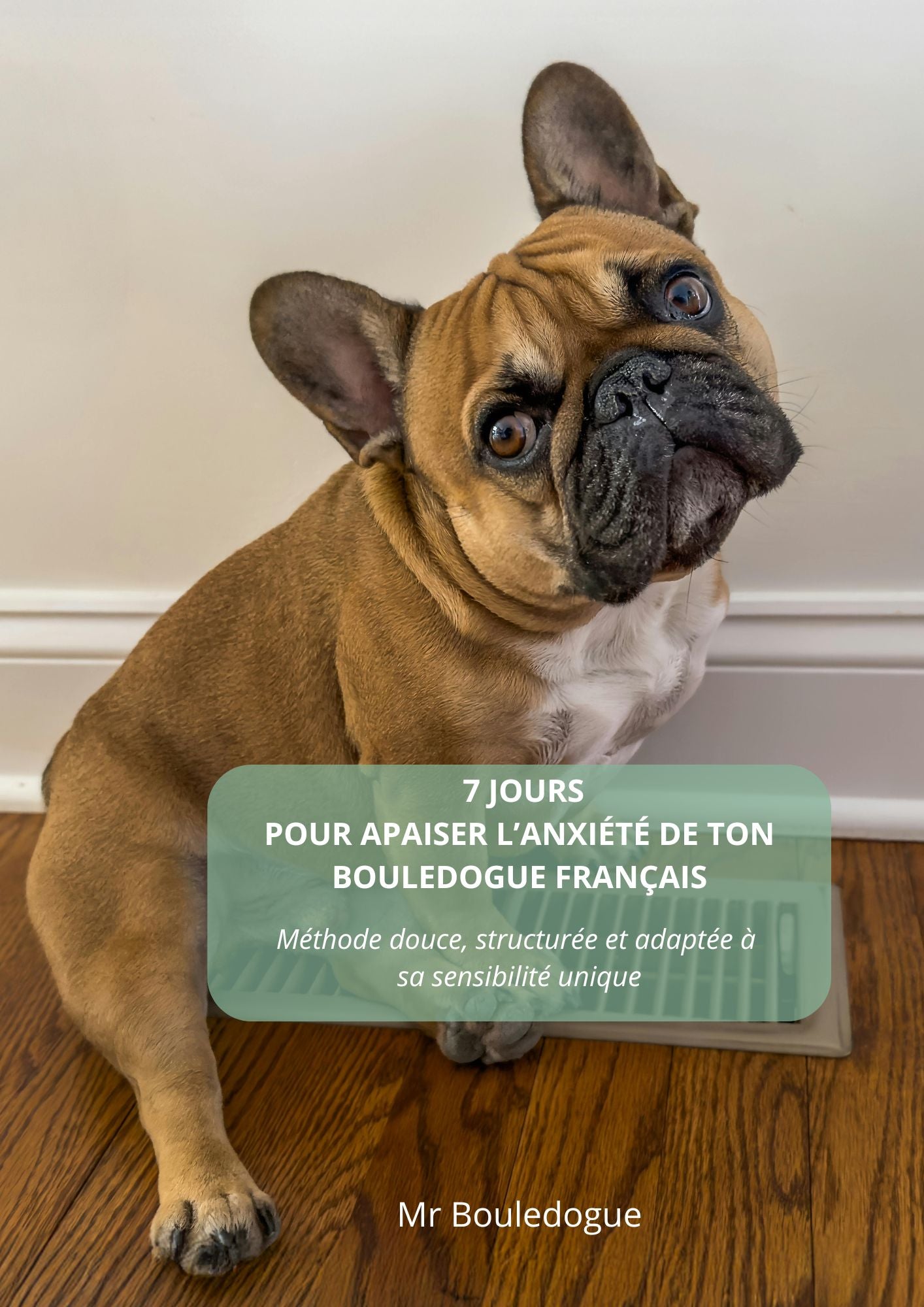 Pack Bien-être Anti-Anxiété - Baume + Guide