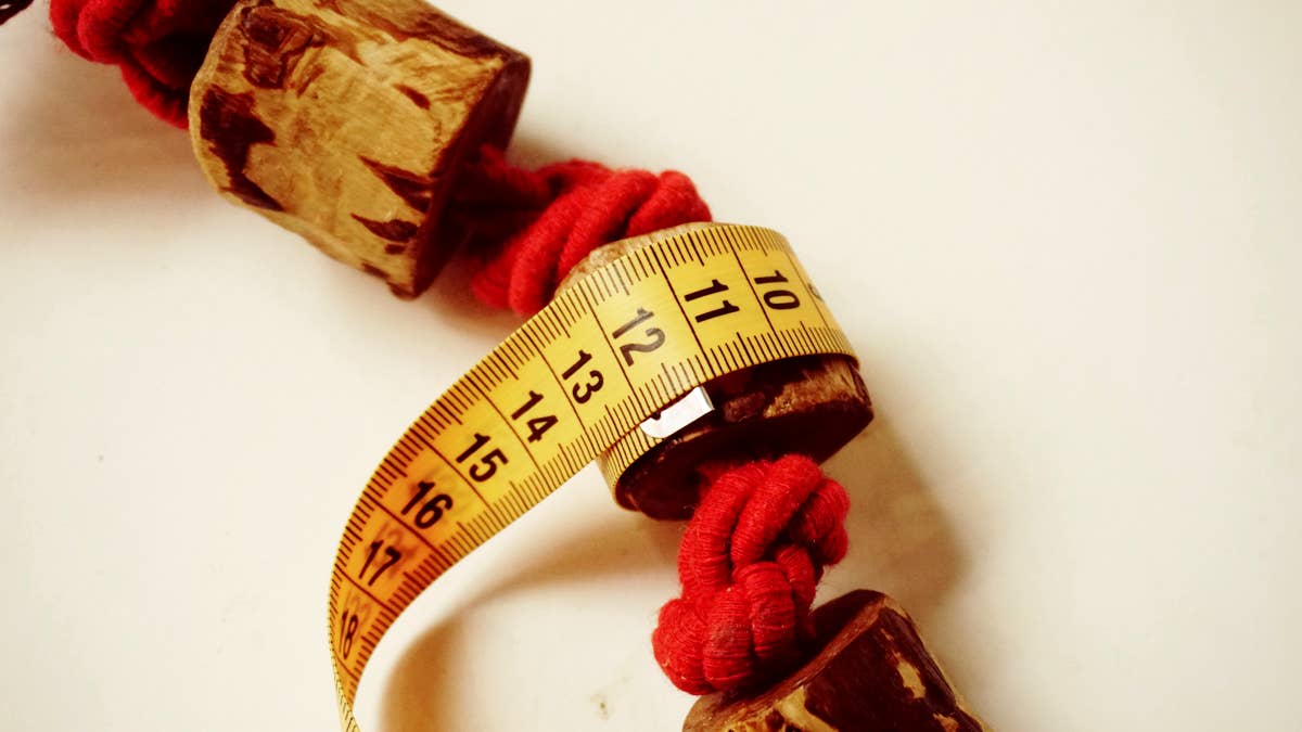 Jouet Écologique en Bois d'Olivier – Durable & Naturel pour Bouledogues