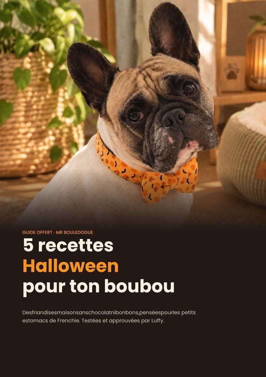 5 Recettes Halloween pour Bouledogue Français (PDF Gratuit)
