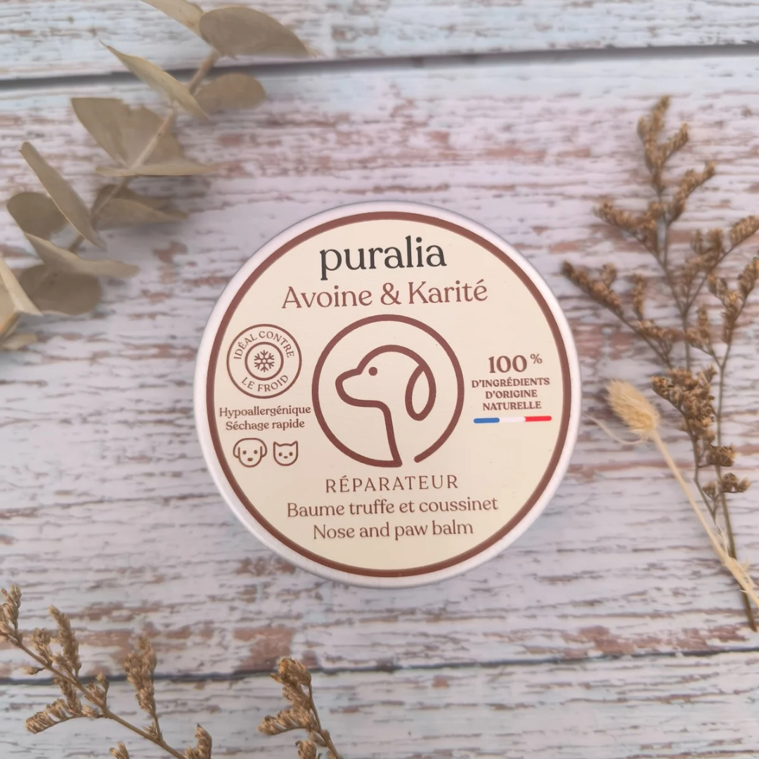 Le Coffret Complet pour Chouchouter son Bouledogue