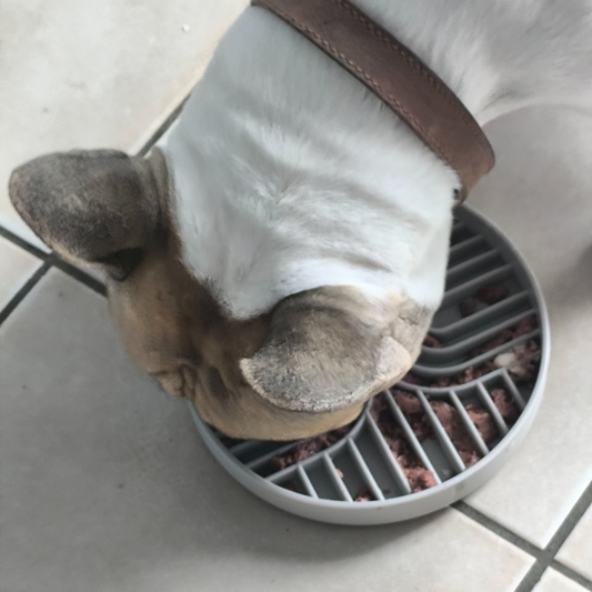 Gamelle Anti-Glouton Bouledogue Français – Silicone avec Ventouse