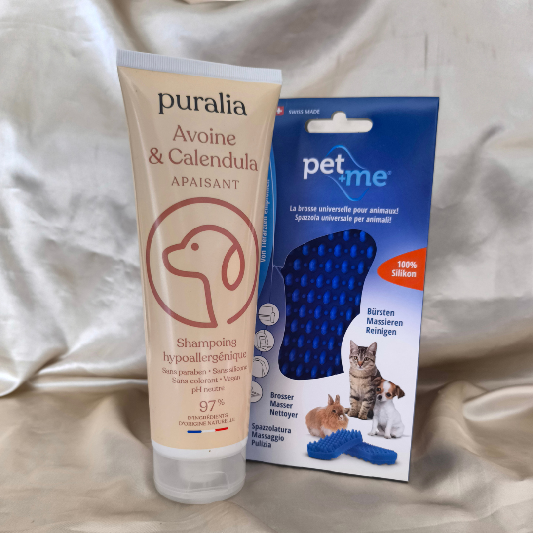 Duo Spa Bouledogue – Shampoing Naturel & Brosse Silicone