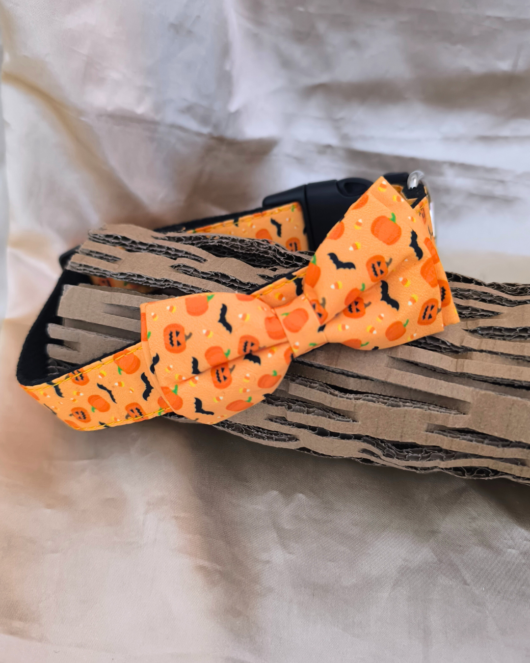 🎃 Collier nœud papillon Halloween – Edition limitée