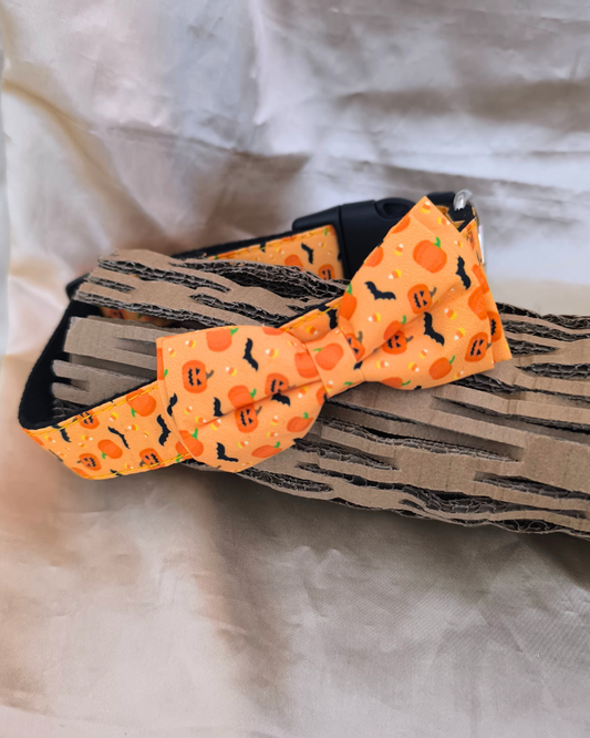 🎃 Collier nœud papillon Halloween – Edition limitée