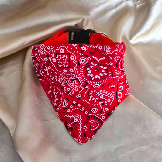 Collier Bandana