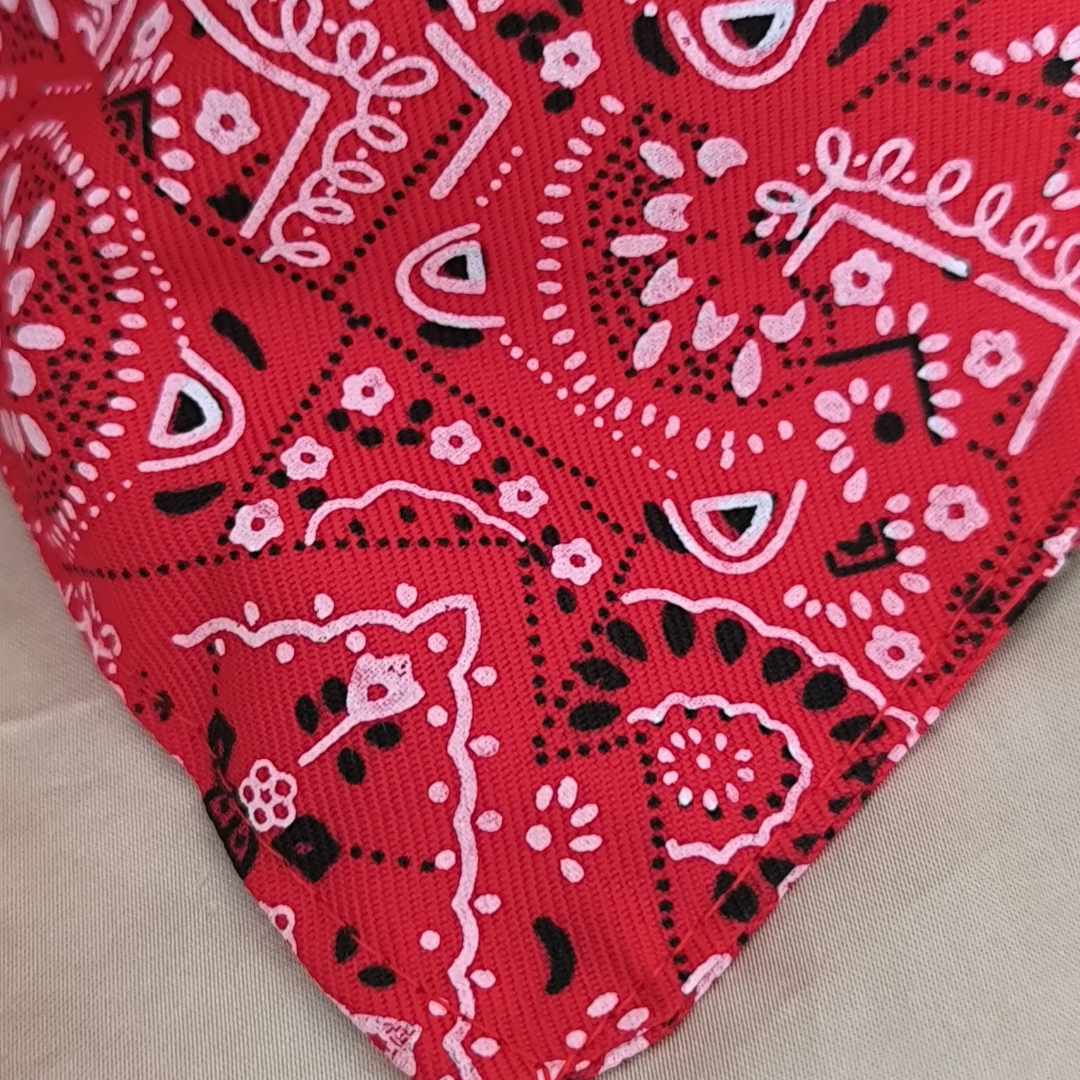 Collier Bandana