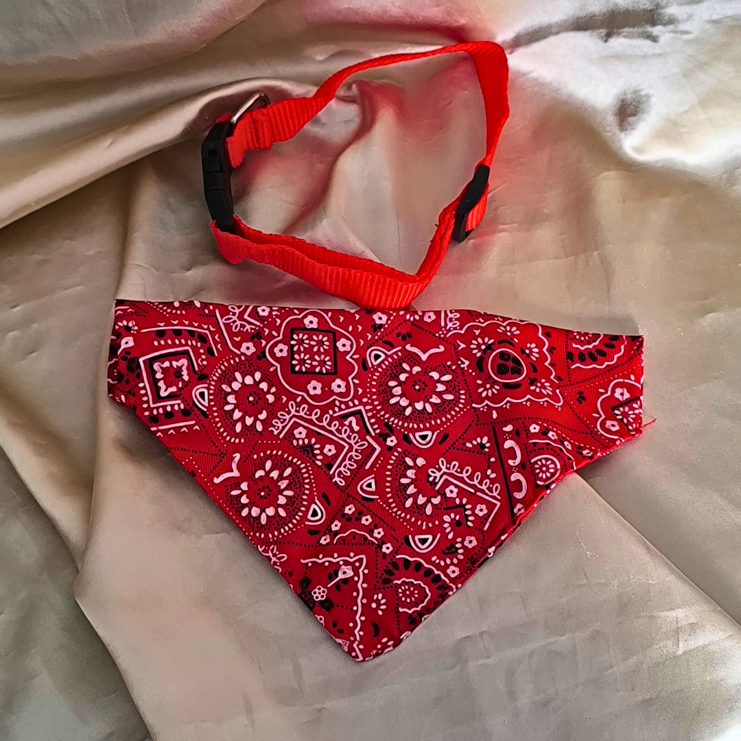 Collier Bandana