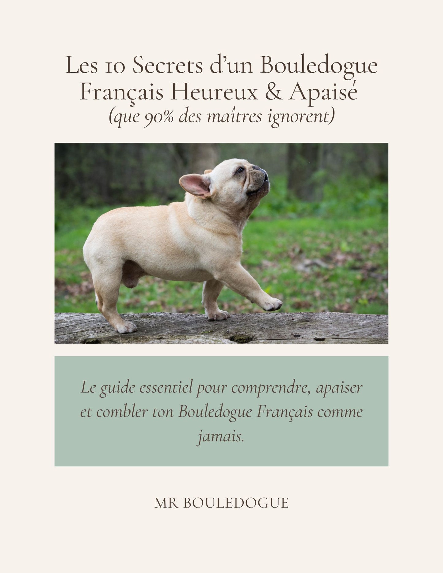 Les 10 secrets pour un bouledogue heureux et apaisé