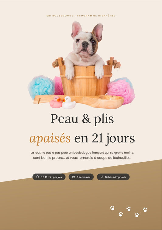 Couverture du guide PDF Peau & plis apaisés en 21 jours pour bouledogue français, avec un chiot frenchie dans un baquet en bois